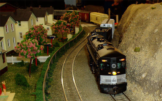 Southern Pacific Train passing cottages beside railway